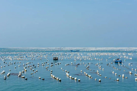 海水水產養殖廢水處理方法|工藝流程|排放標準